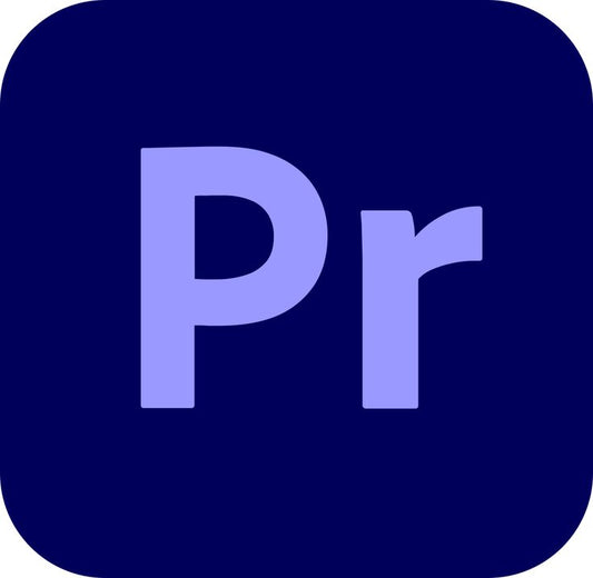 Adobe Premier Pro 2023 Coloring Settings